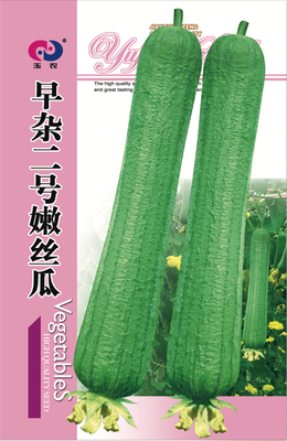 早杂二号嫩丝瓜