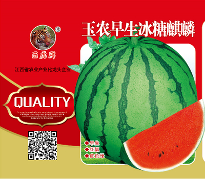 早生冰糖麒麟瓜（1000粒、50粒）