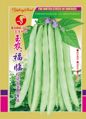福临（500克）