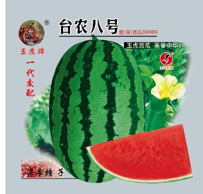 台农八号（80克）