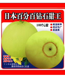 钻石甜王（20克）