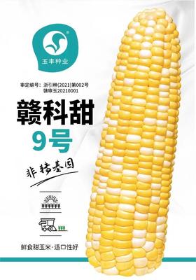 赣科甜9号（400克、20克）