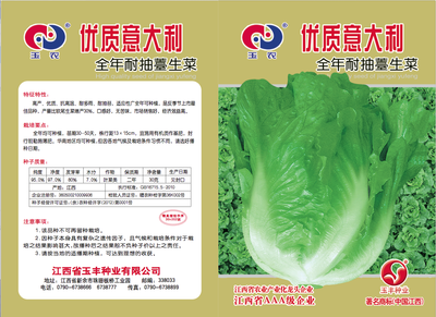 优质耐抽苔生菜
