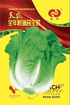 耐抽苔生菜（10克）