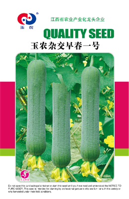 玉农杂交早春一号