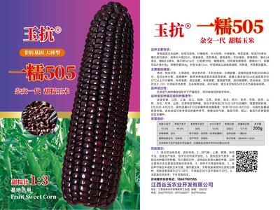 一糯505（200克）