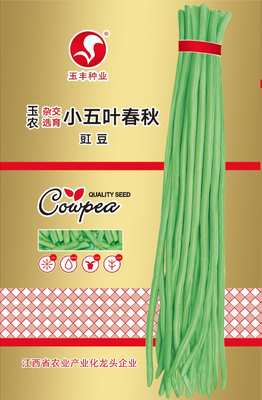 春秋小五叶（30克）