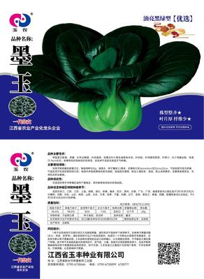 墨玉