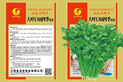 香菜（250克*袋）