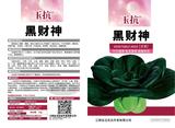 玉抗黑财神