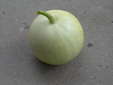 DSCN1417.JPG