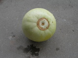 DSCN1419.JPG