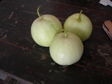 DSCN1421.JPG