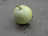 DSCN1420.JPG