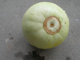 DSCN1418.JPG