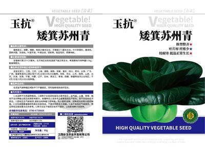 玉抗矮箕苏州青