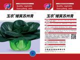 矮箕苏州青（200克、40克）