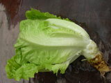 DSCN1733.JPG