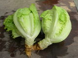 DSCN1728.JPG