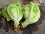 DSCN1729.JPG