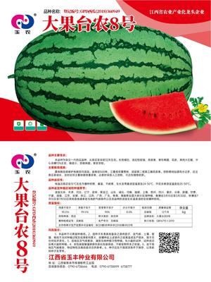 台农8号（6克）